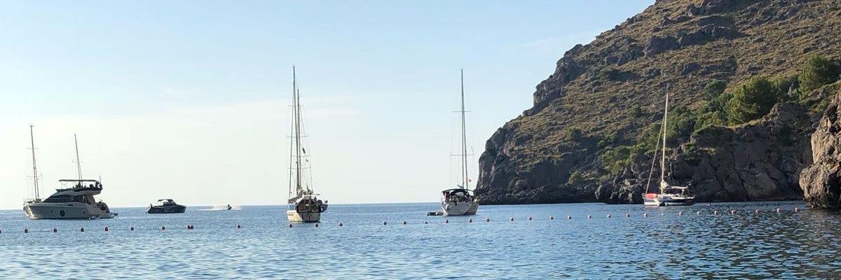 AlbaLorca's profile banner image