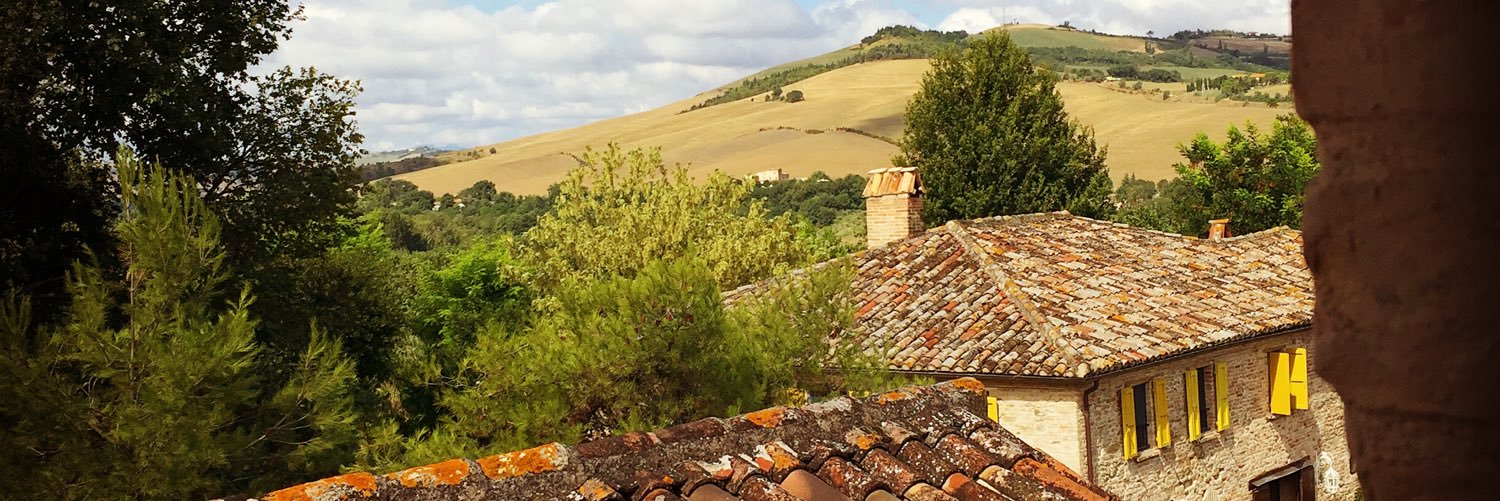 Diego Fornero banner