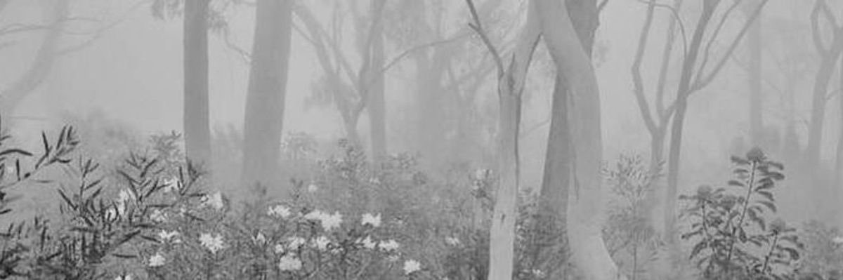 ♰ SPIKE ♰ TWD S8 banner