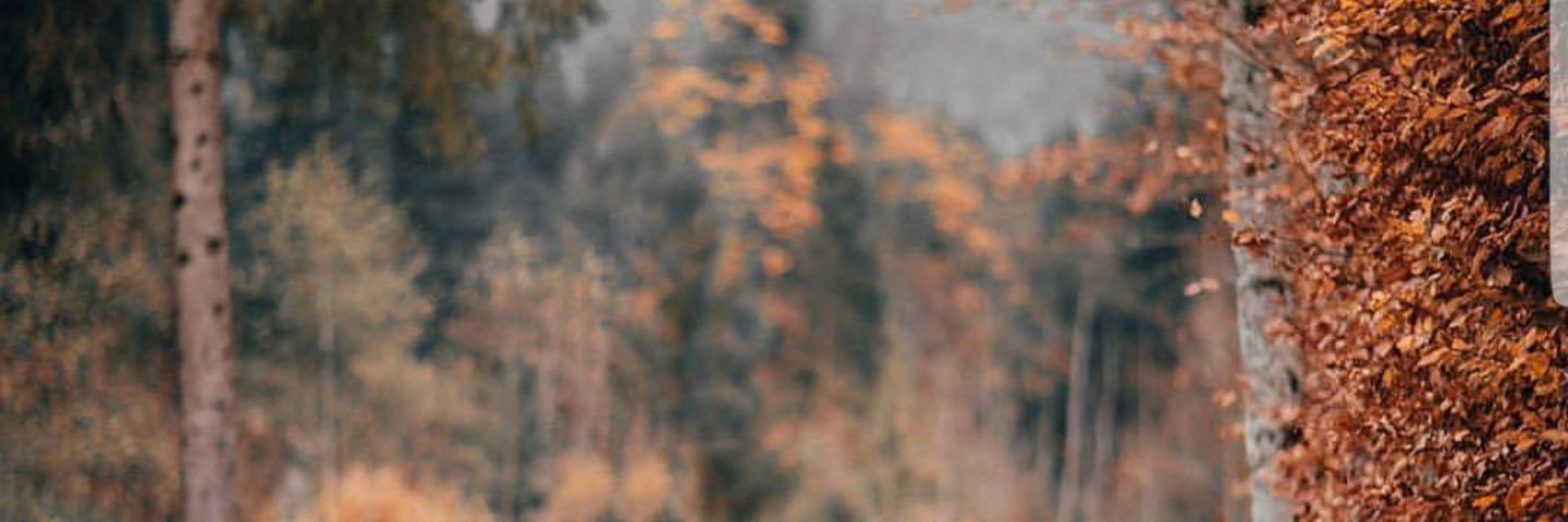 AymanSharif4's profile banner image