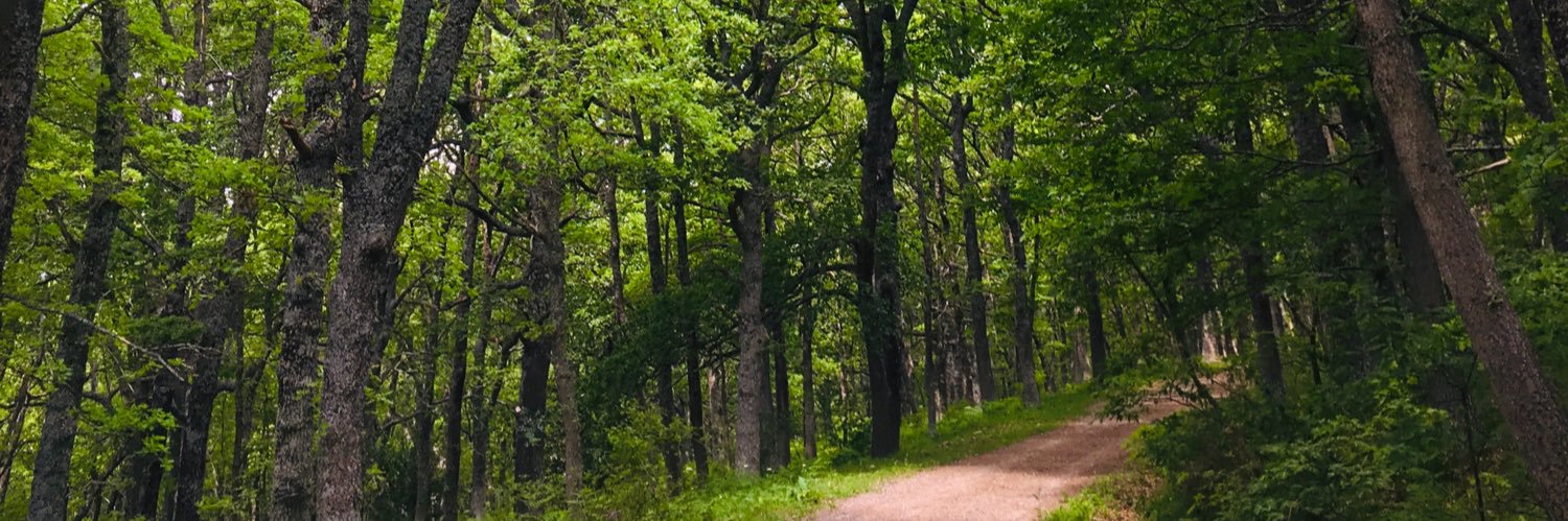 Rocío Gutiérrez banner