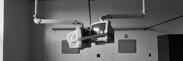 mollyfication Profile Banner