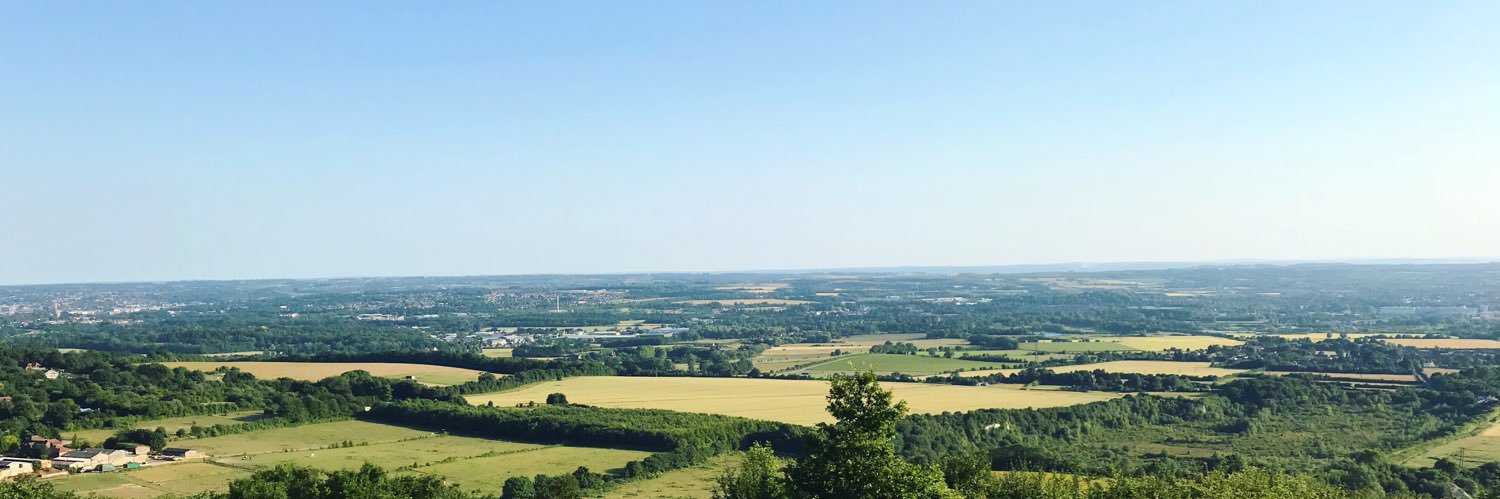 graceseale17's profile banner image