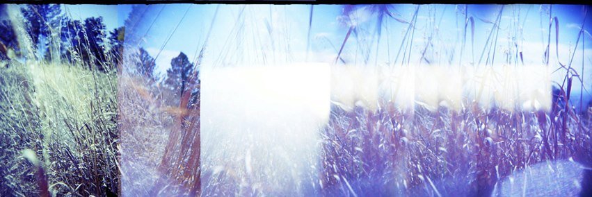 stevesonn's profile banner image