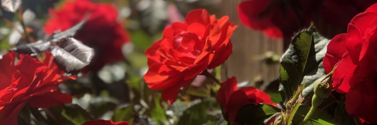 PixelPantzCos's profile banner image