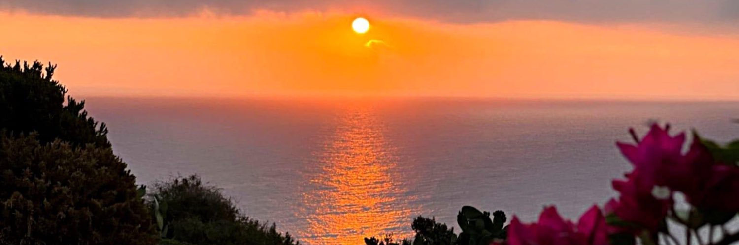 Myrta Merlino banner