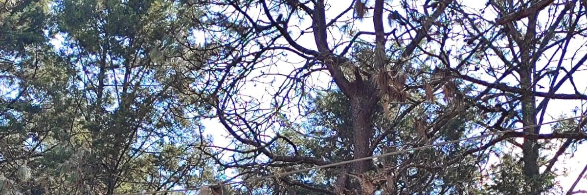 berealga's profile banner image