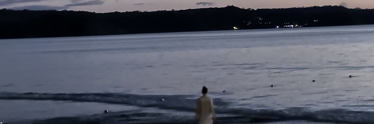 twittamd's profile banner image