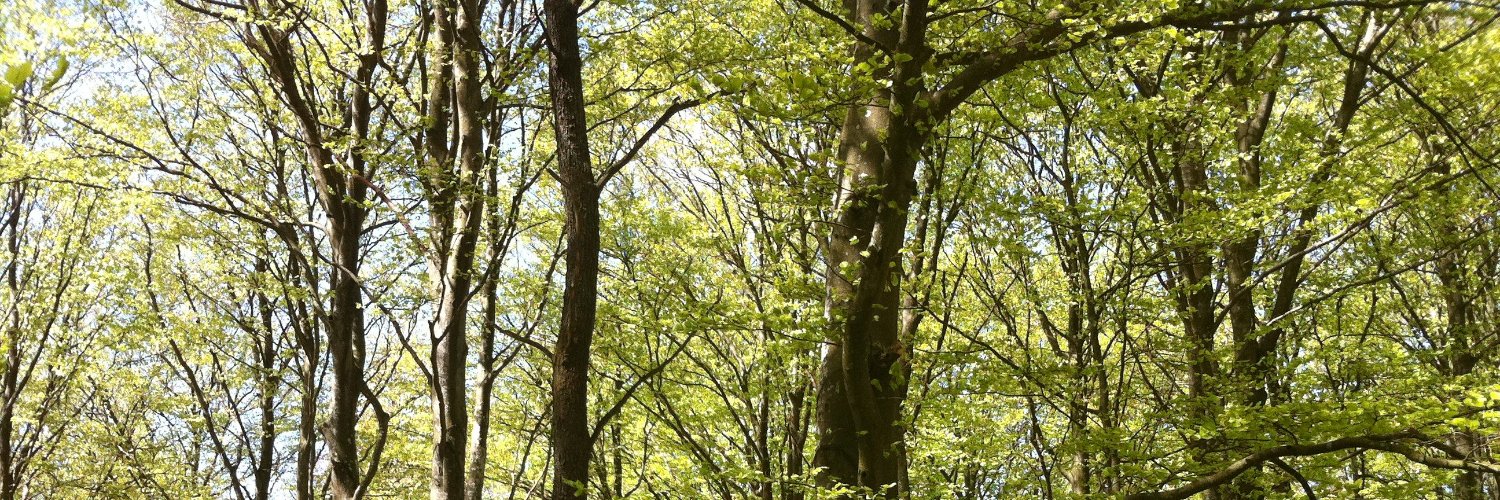 Algot Thorin 🇸🇪🇺🇦 banner