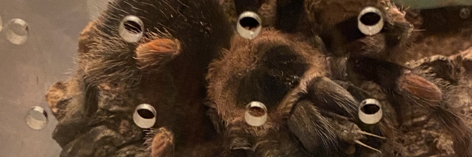 m0thr0ck's profile banner image