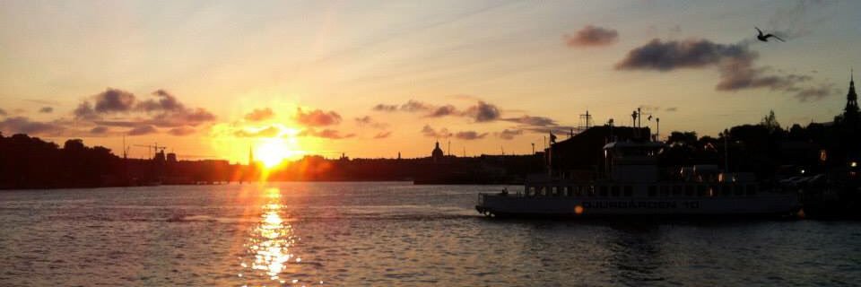 fridacholm's profile banner image