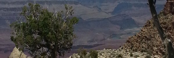 mrt_markmacdo Profile Banner