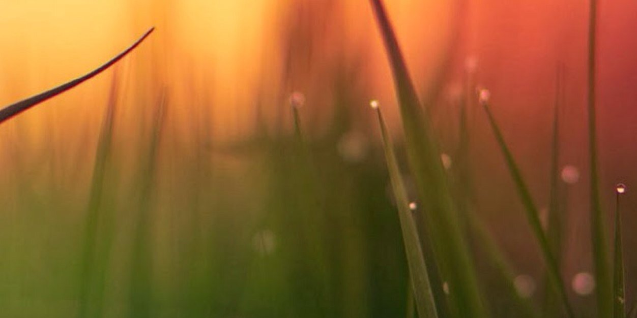 Life is Unexpected banner