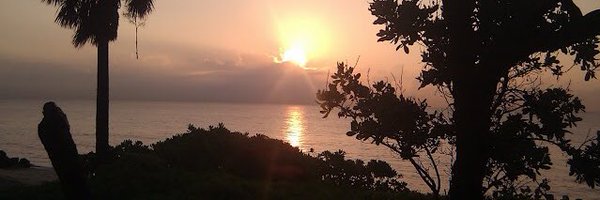 davidtemkin Profile Banner