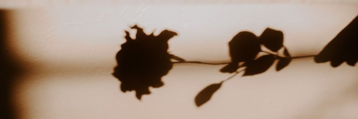 MssAtomicB's profile banner image