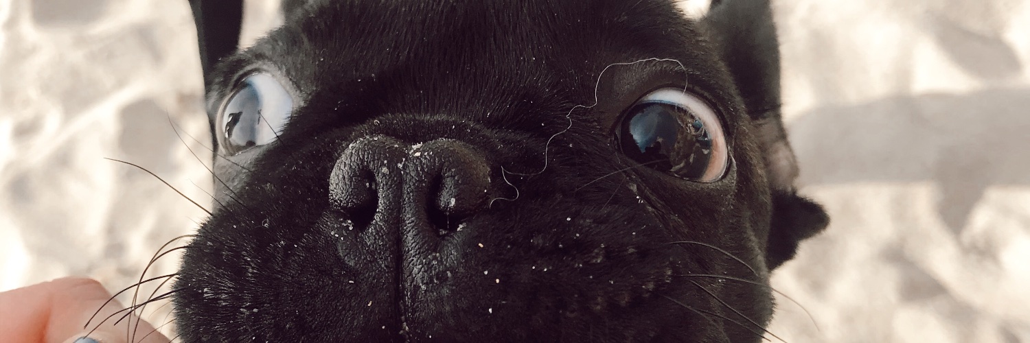 helencb7's profile banner image
