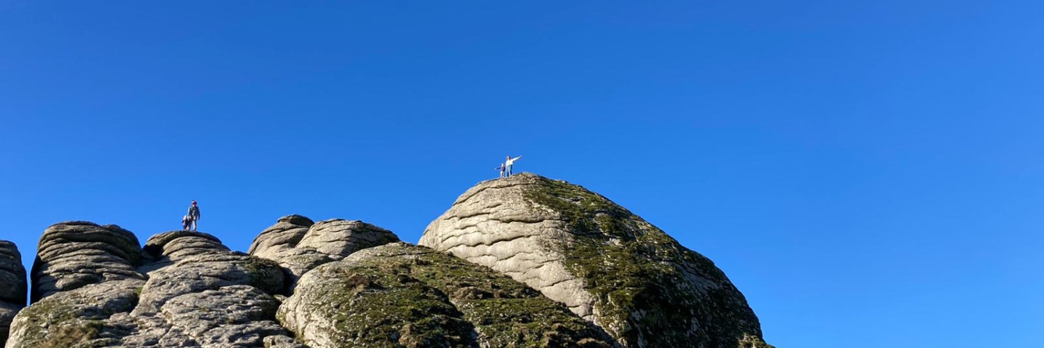 Alice Swan 🇺🇦 banner