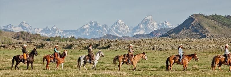 Goosewing Ranch banner