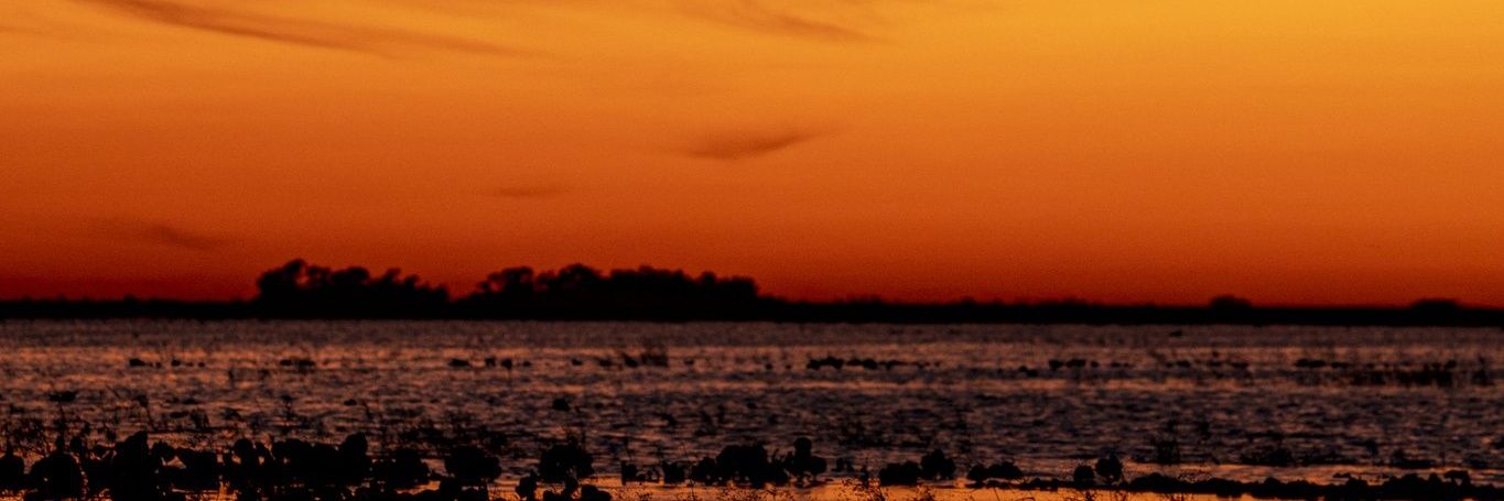 fabiosandoval90's profile banner image