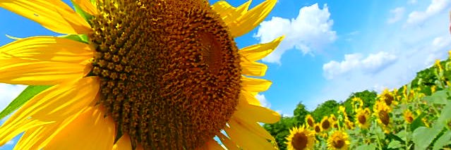 kk235899's profile banner image