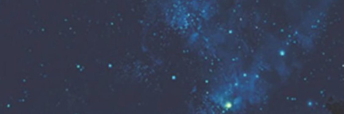 trist banner