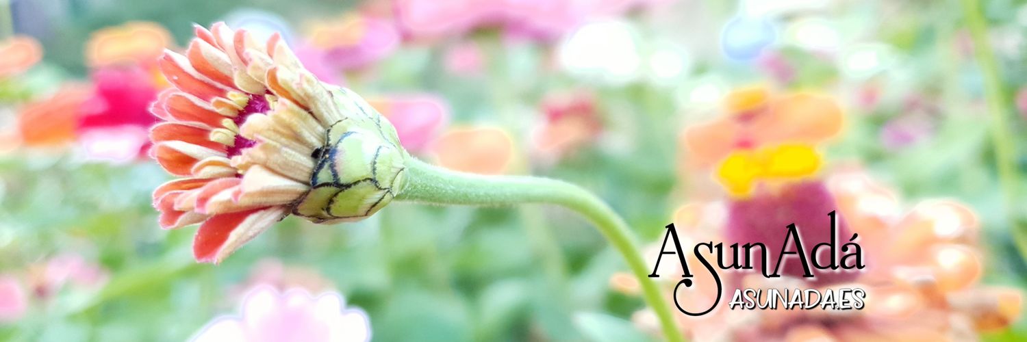 AsunAda_'s profile banner image