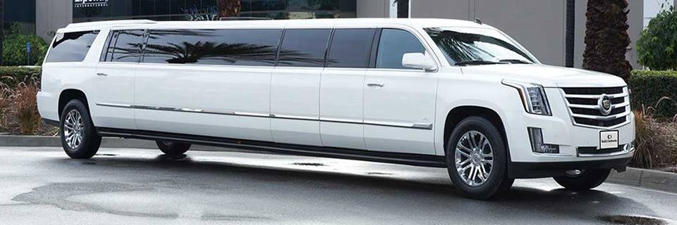 preslimo410's profile banner image
