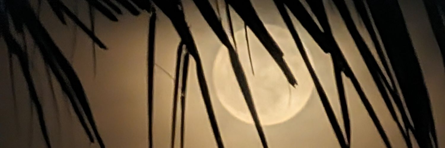 VarmaVSS's profile banner image