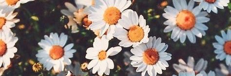 MeganCollins5's profile banner image
