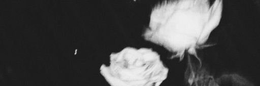 appleeoi's profile banner image