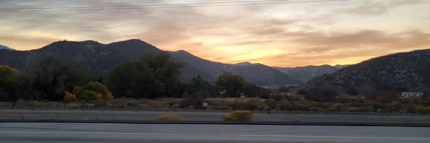 Sohini Stone (she/her) banner