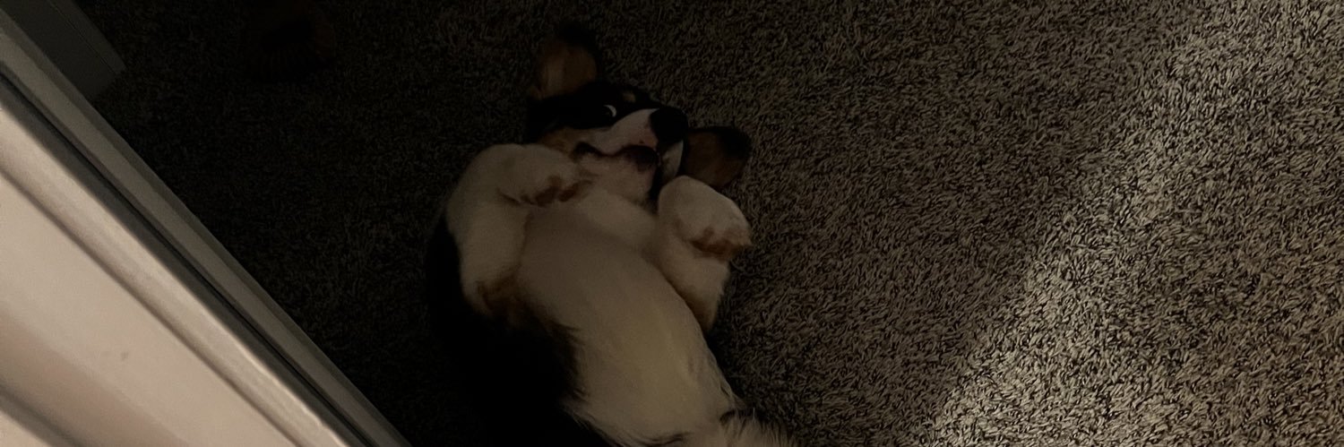 TaylorKelcy's profile banner image
