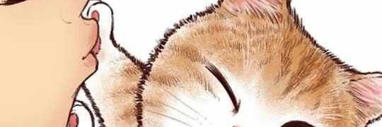 architecatt's profile banner image