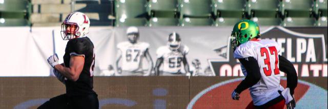 Ross Scheuerman banner