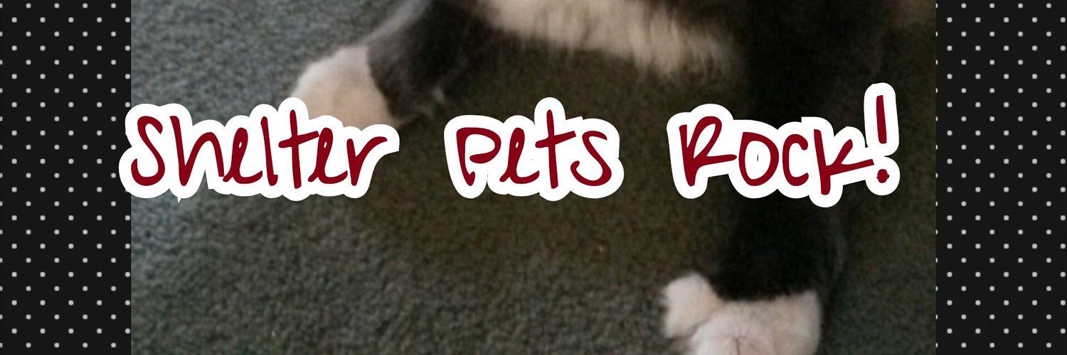 MaxxDCat's profile banner image