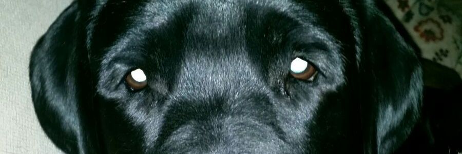 jsanz_15's profile banner image