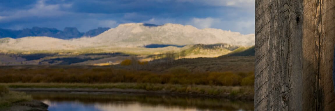 CookingintheDark banner