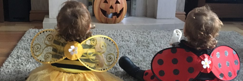 ConnorSav19's profile banner image