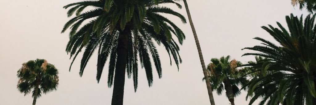 diane_nedob's profile banner image