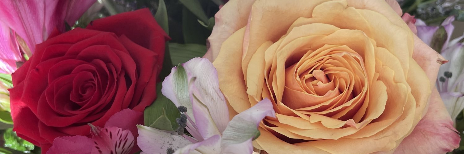 StacyMartfeld's profile banner image