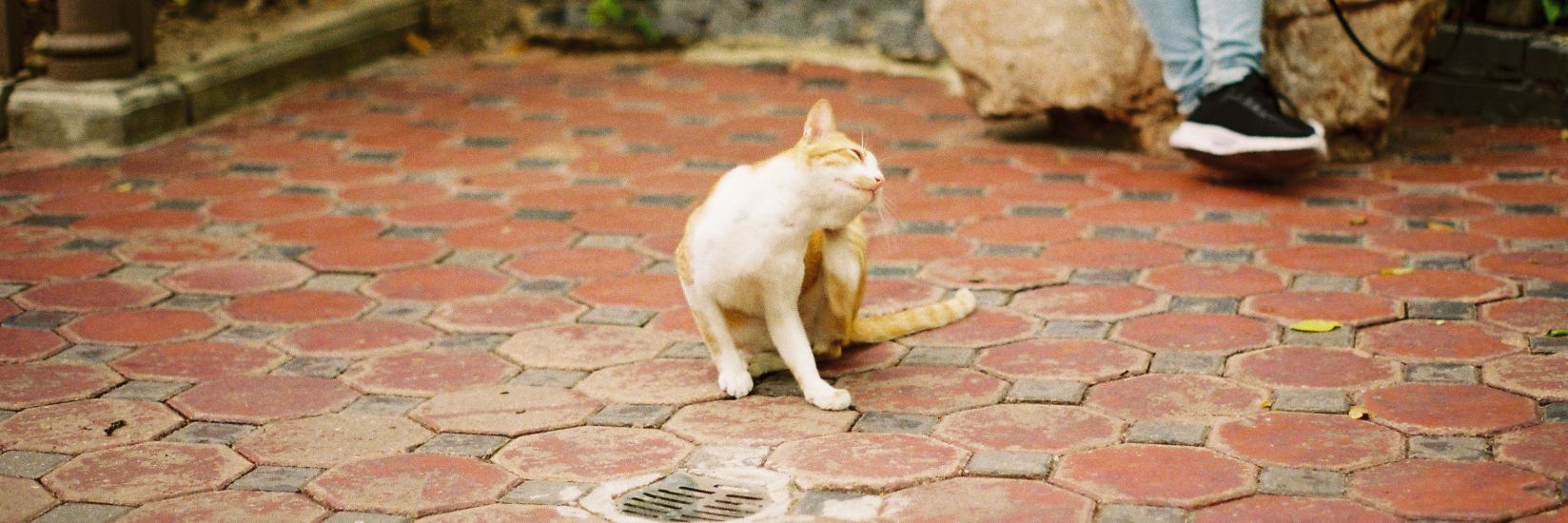 ไผ่ๆยังไงล่ะ banner