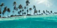 dayknelonb's profile banner image