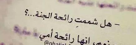 mohamedsayed905's profile banner image