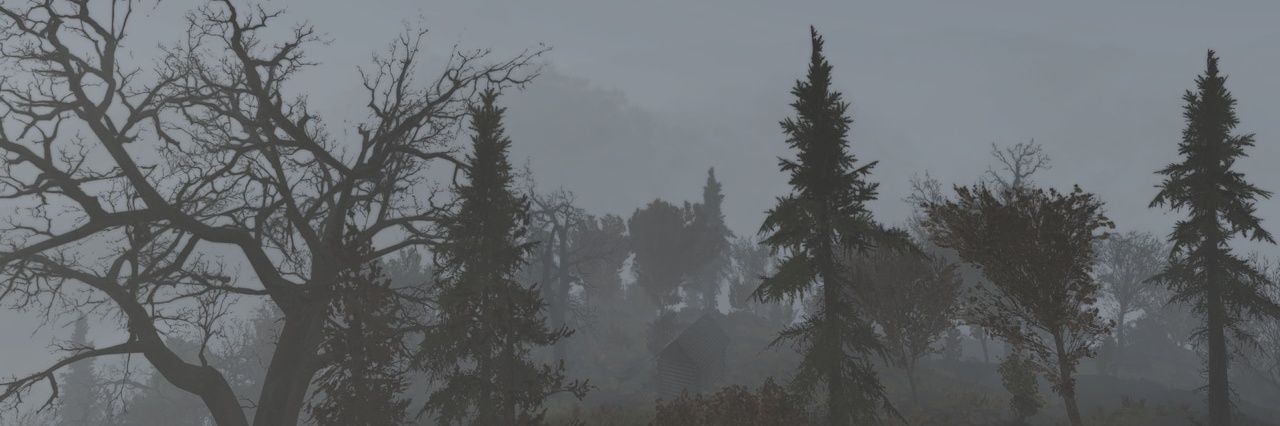 stolenfive's profile banner image