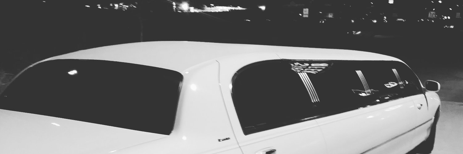 therams29's profile banner image
