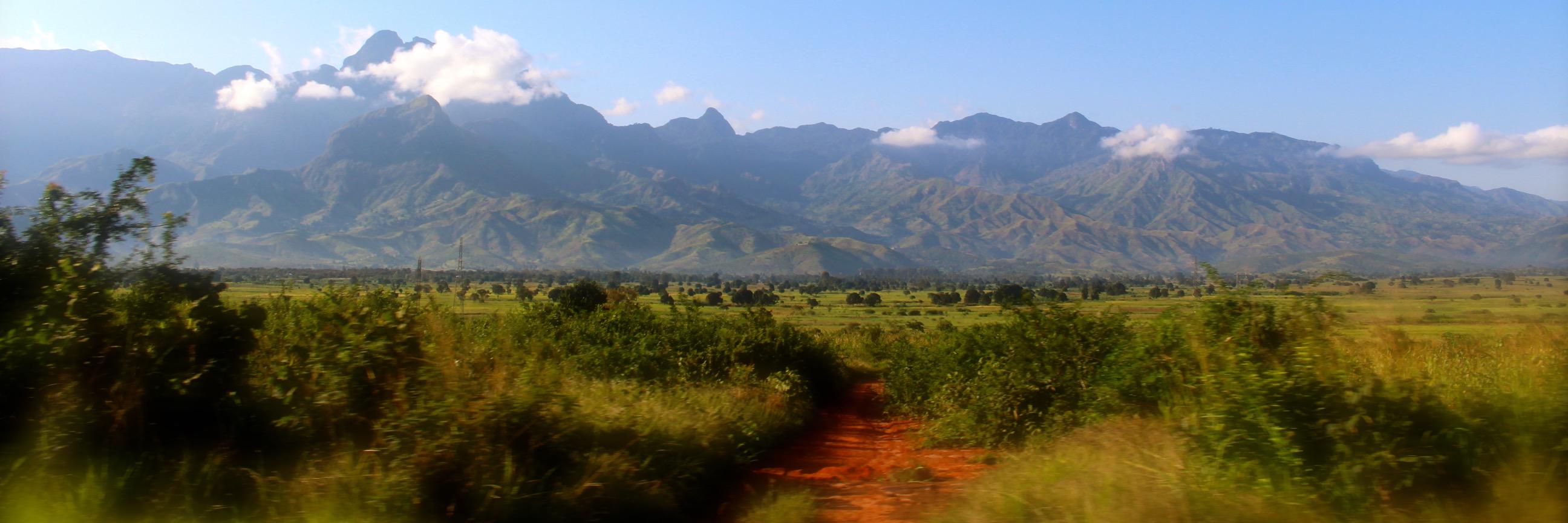 ellen_maunder's profile banner image
