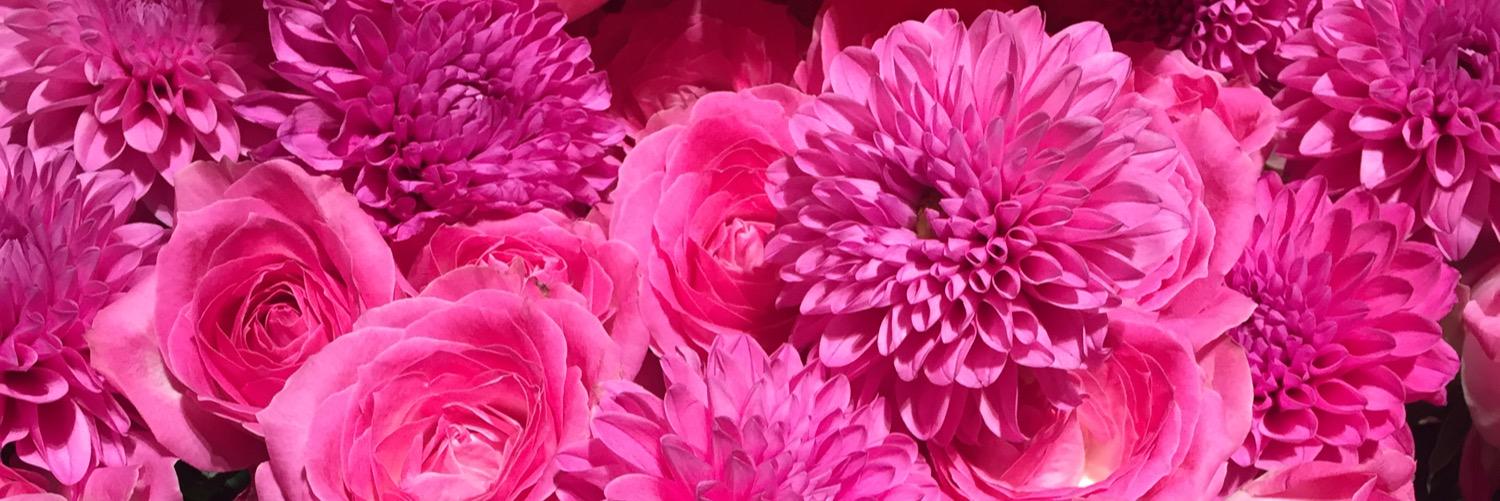 satomiiiina's profile banner image