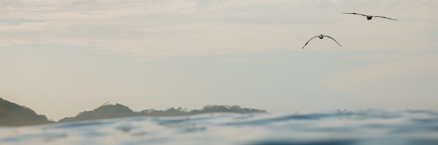 MadsTrim's profile banner image