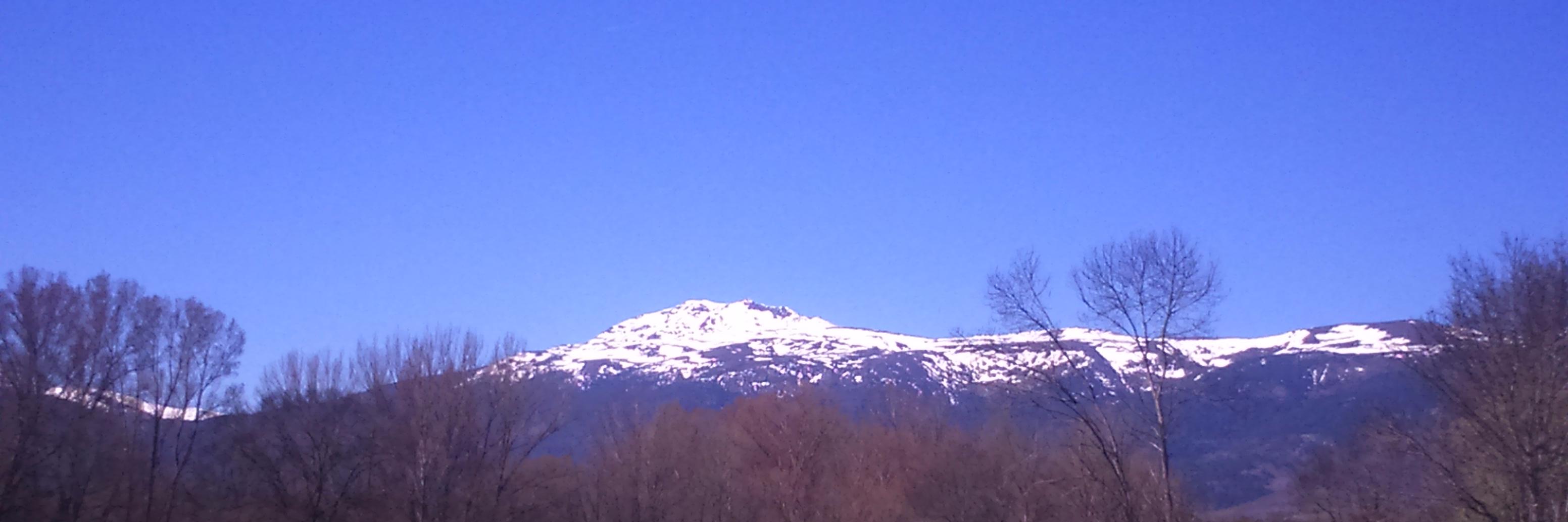 Alberto Miranda banner