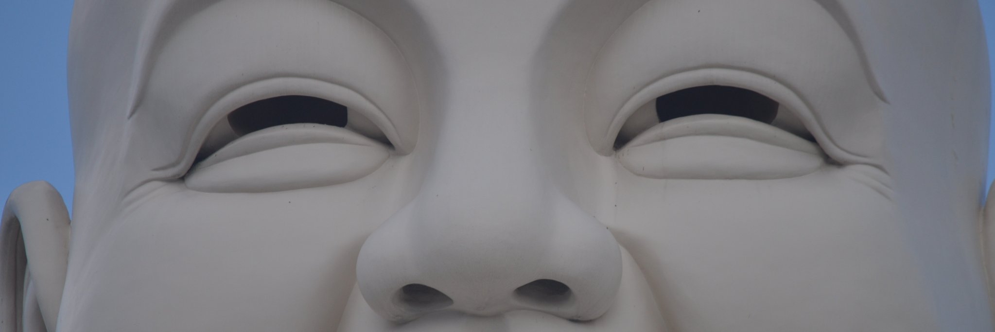 bdemchinsky's profile banner image